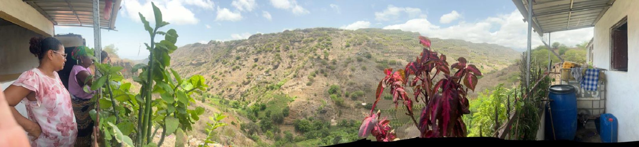 panoramica